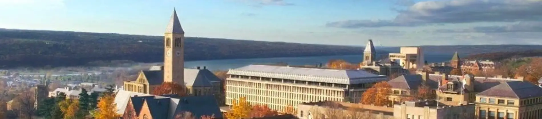 Cornell University in United States of America Cornell University in United States of America